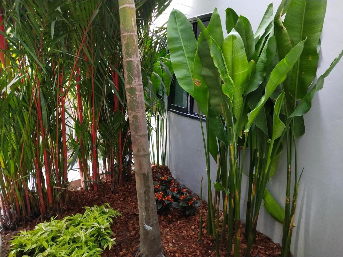 Hotel De Sripoom -Sha Extra Plus Chiang Mai Bagian luar foto